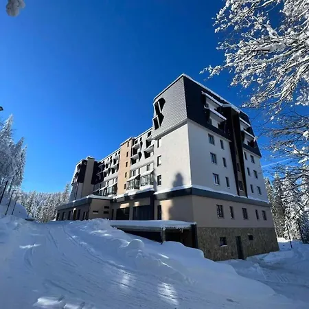 公寓 Zlatni Javor 206 *